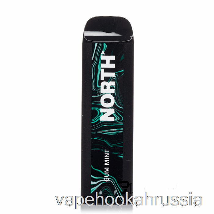 Vape Russia North 5000 одноразовая жвачка мятная